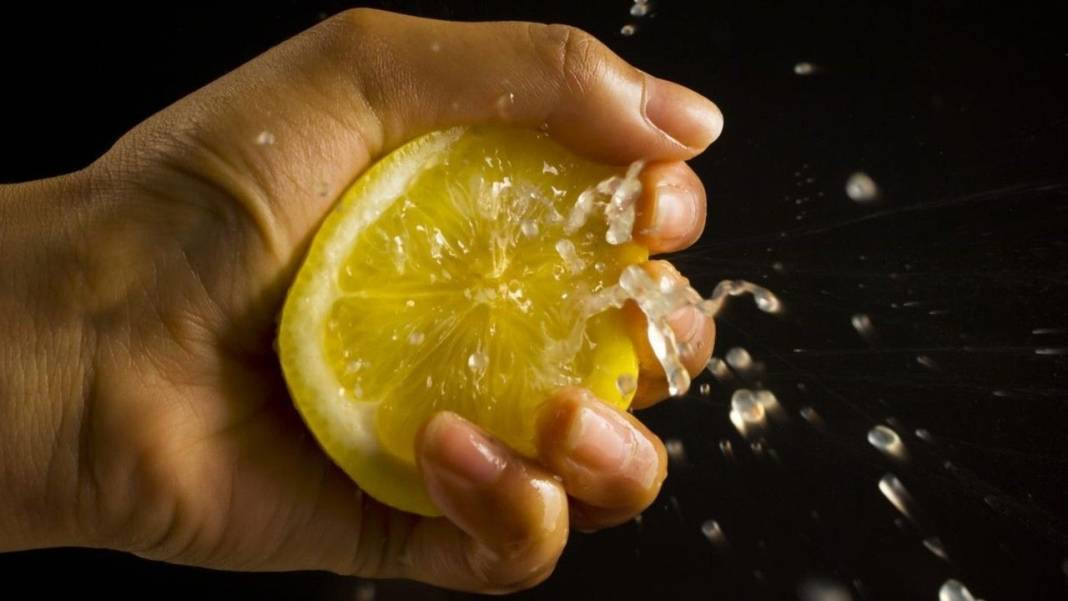 Limonun değil fiyatının suyu çıktı! Limonu durdurabilene aşk olsun - Resim: 3